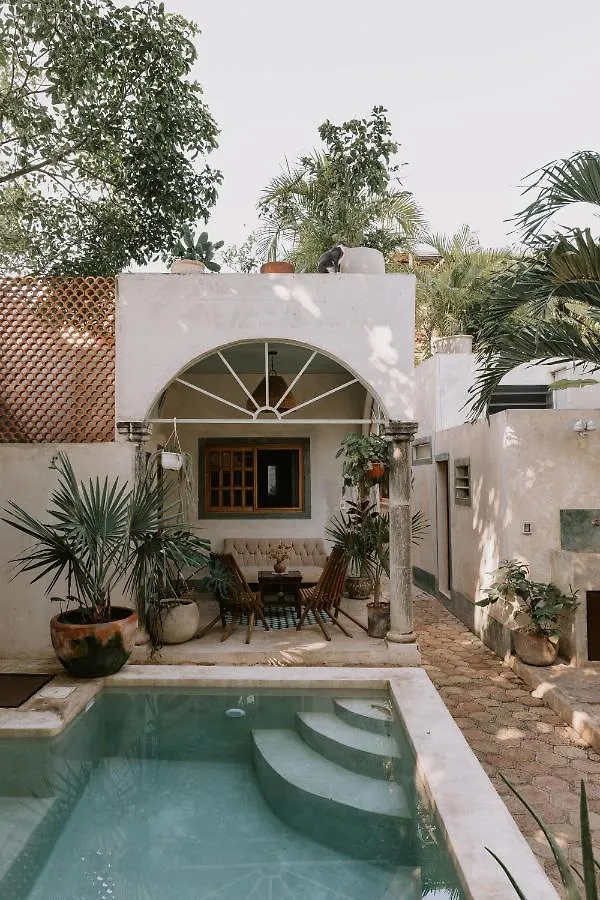 Casa Mezcla - Bed & Breakfast contacts
